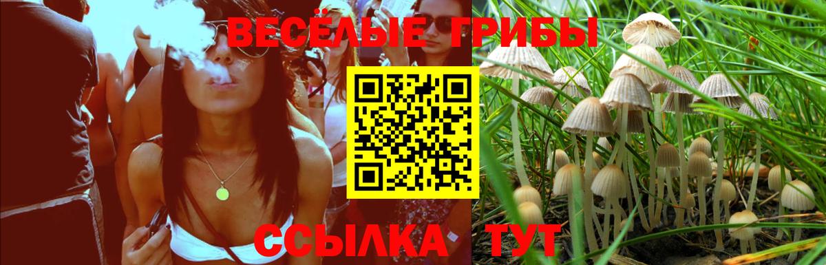 Электросталь  Псилоцибиновые грибы мухоморы  Вход с VPN 