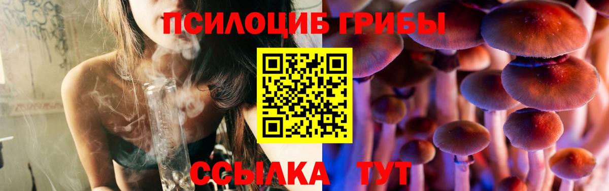 Псилоцибиновые грибы прущие грибы Электросталь
